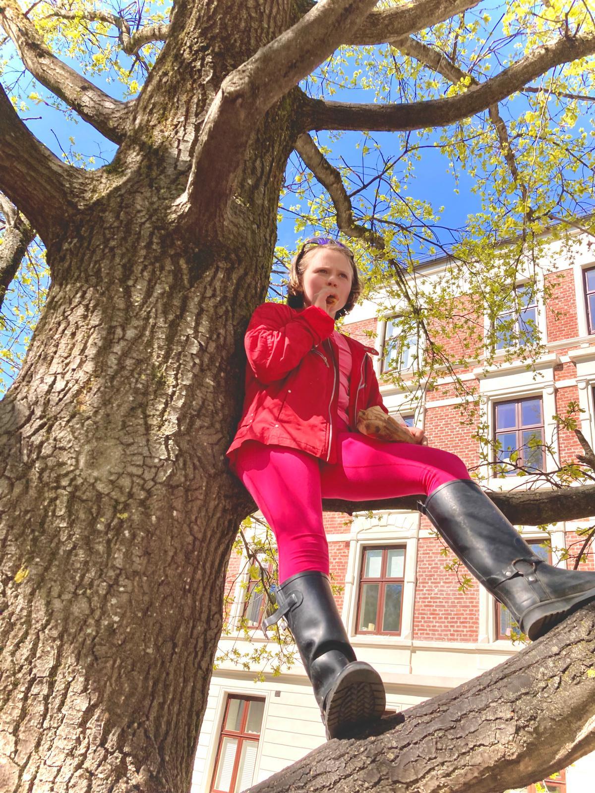 The Pirate Princess Climbing a Tree to eat lunch