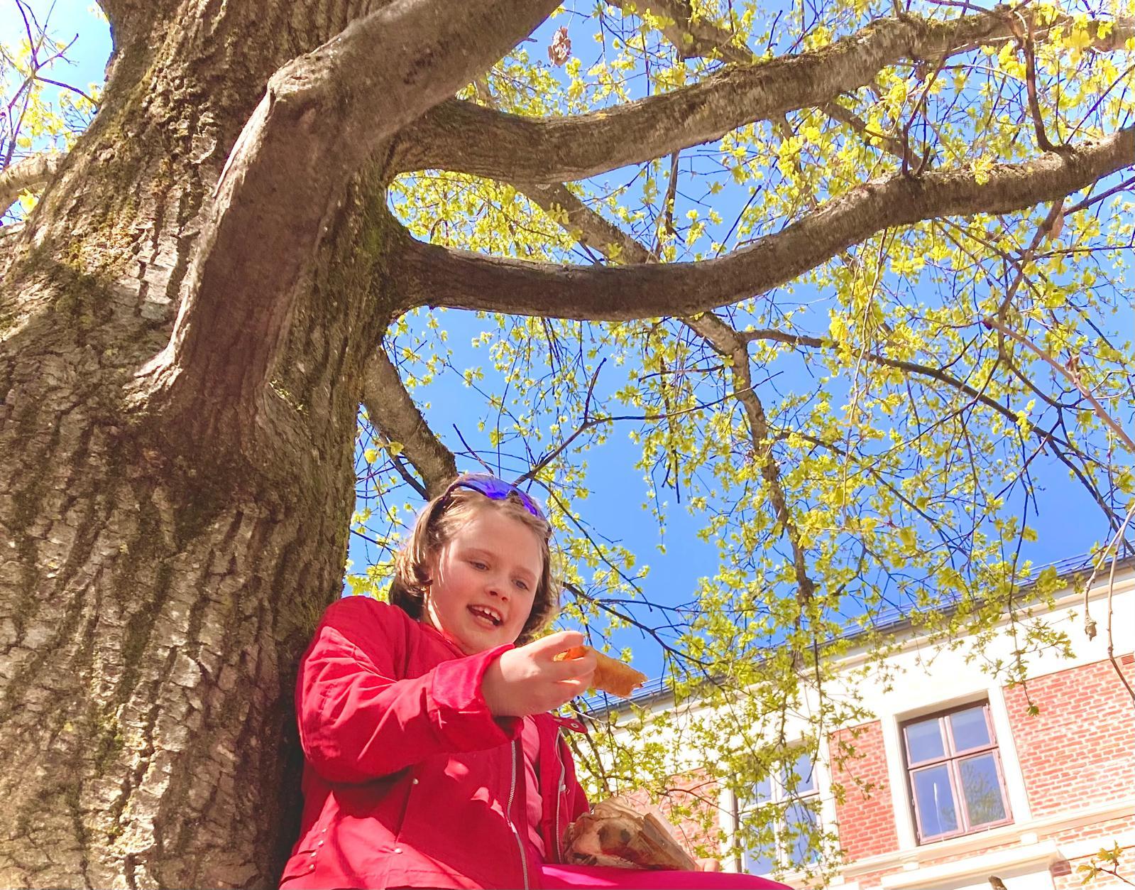 The Pirate Princess Climbing a Tree to eat lunch